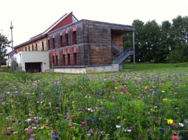 IMG_0223-e1438697167808