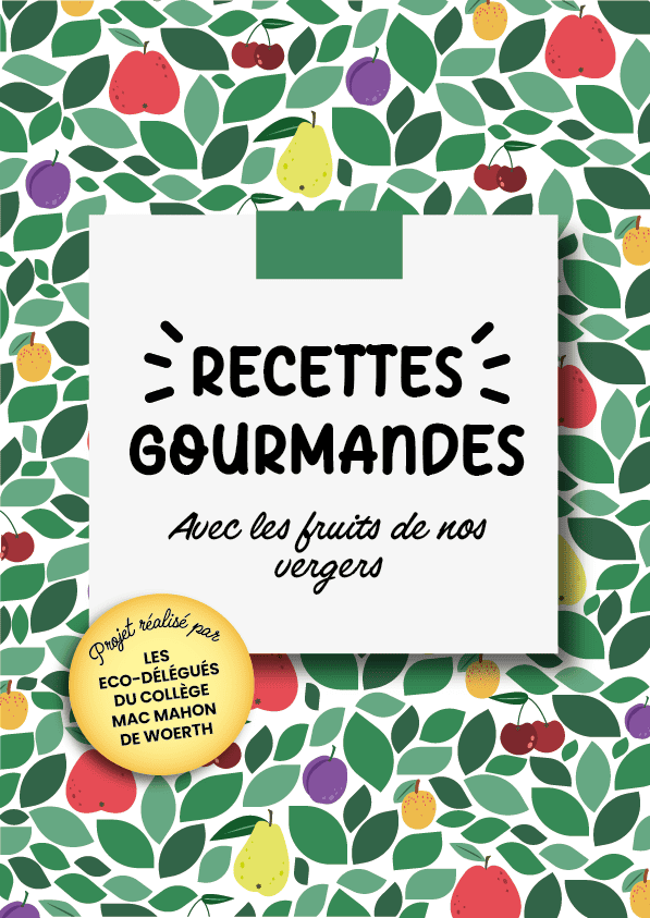 Plan de travail 1 copie 8_1